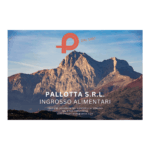 PALLOTTA 1000 X 1000 (1)