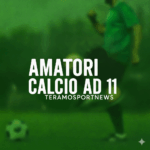 amatori c11