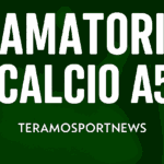 amatori c5