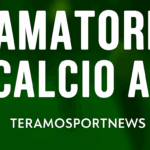 amatori c7